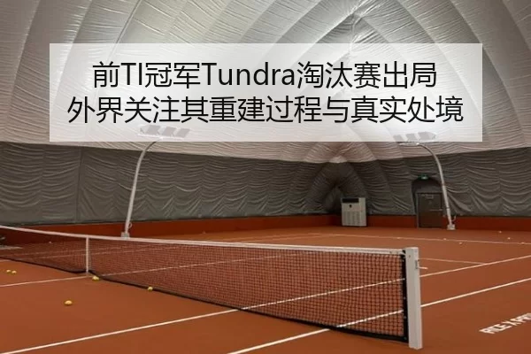 前TI冠军Tundra淘汰赛出局 外界关注其重建过程与真实处境